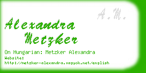 alexandra metzker business card